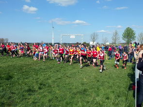 米兰体育官方网址入口-青少年体育锻炼促进策略与实践，青少年体育锻炼方案