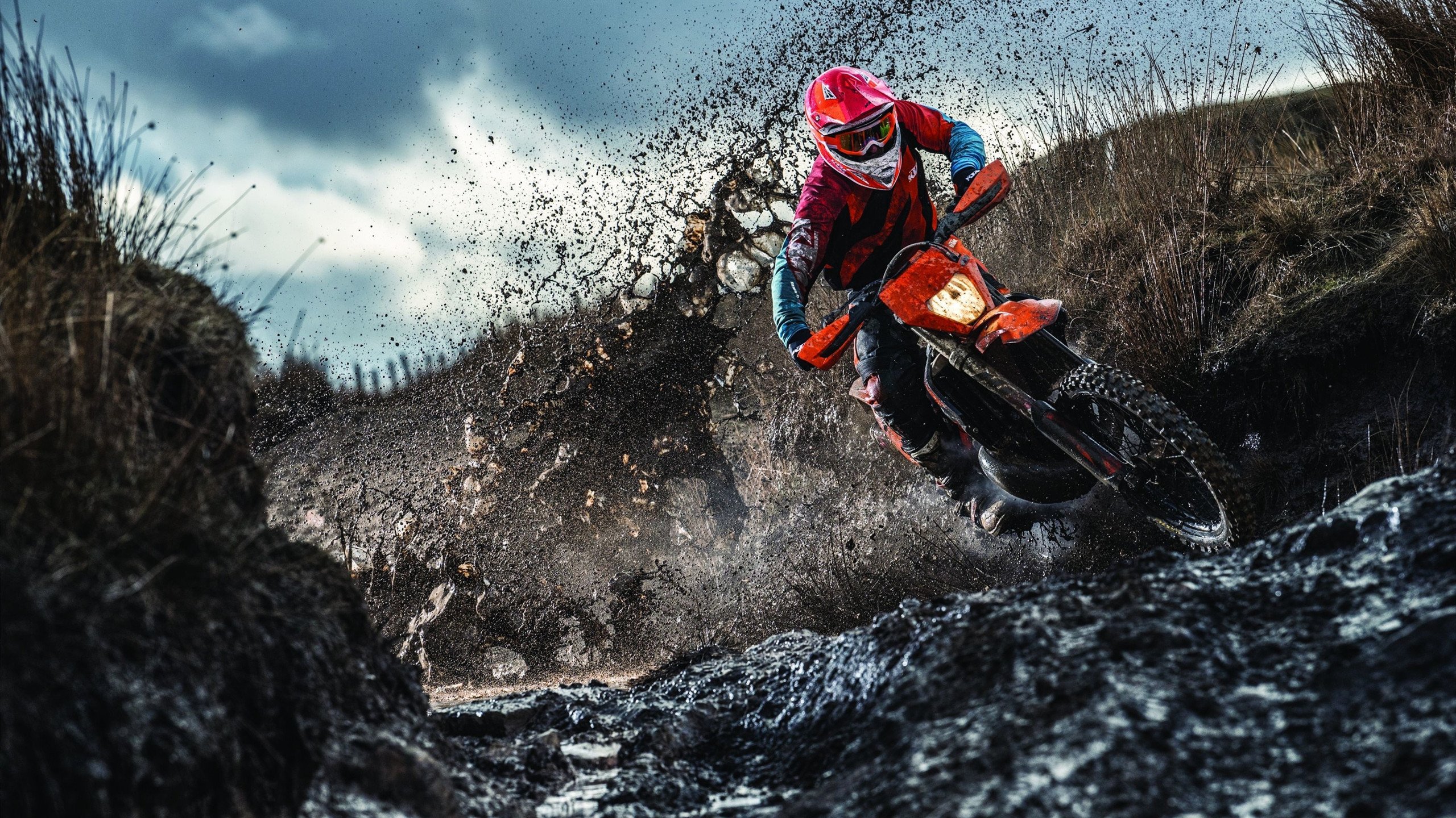 中国攀岩队在2026年世锦赛速度项目包揽冠亚军